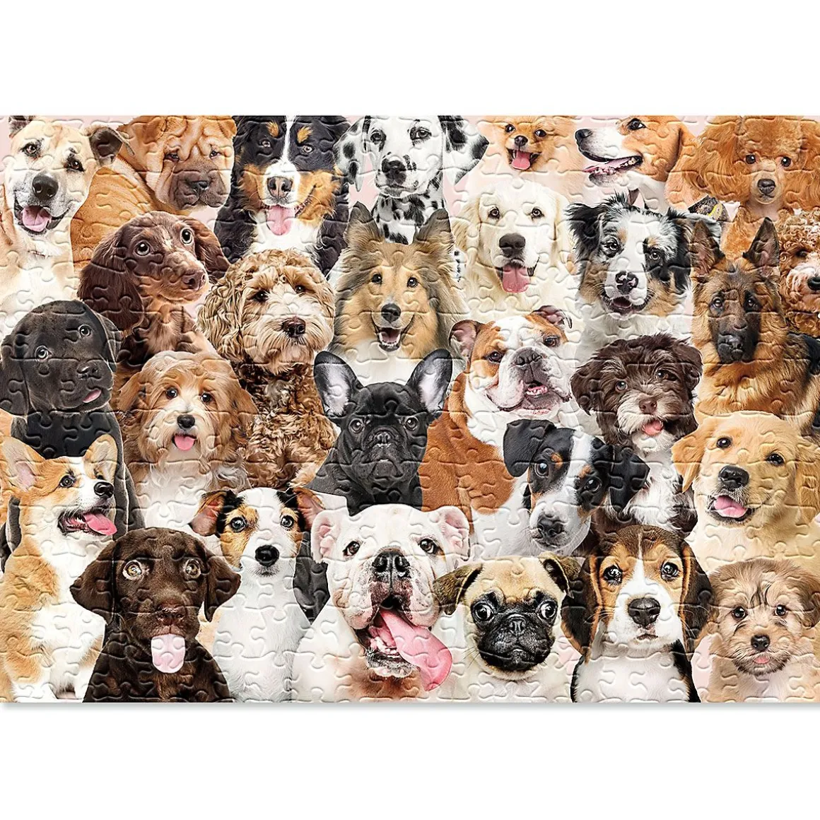 All The Dogs Puzzle