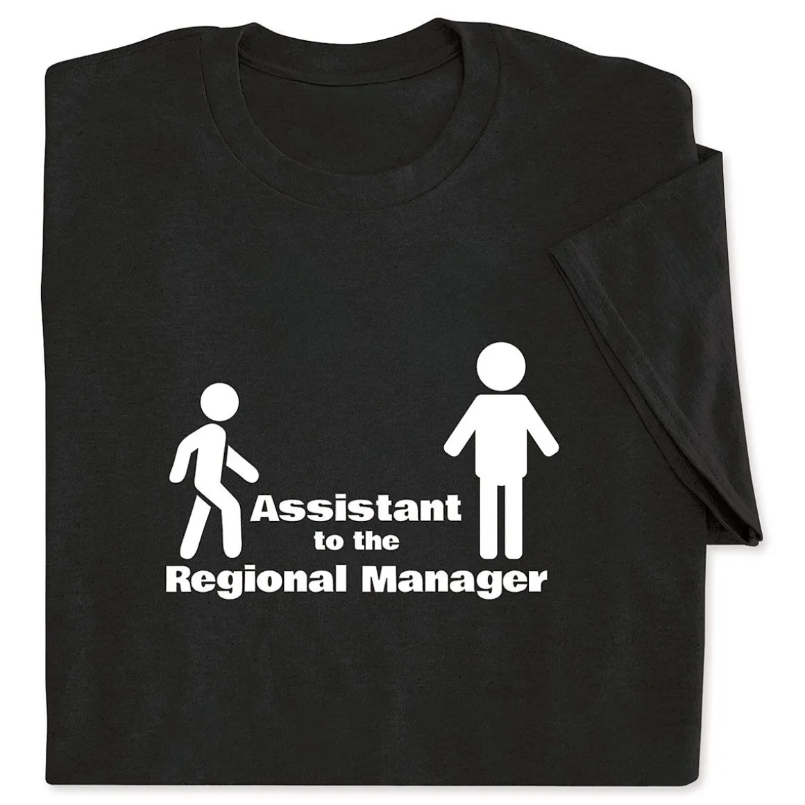 Assistant to the Regional Manager Kids T-Shirt