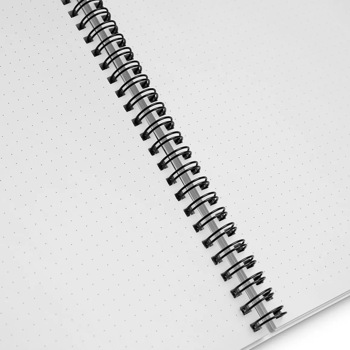 Big Dreams Inside Notebook
