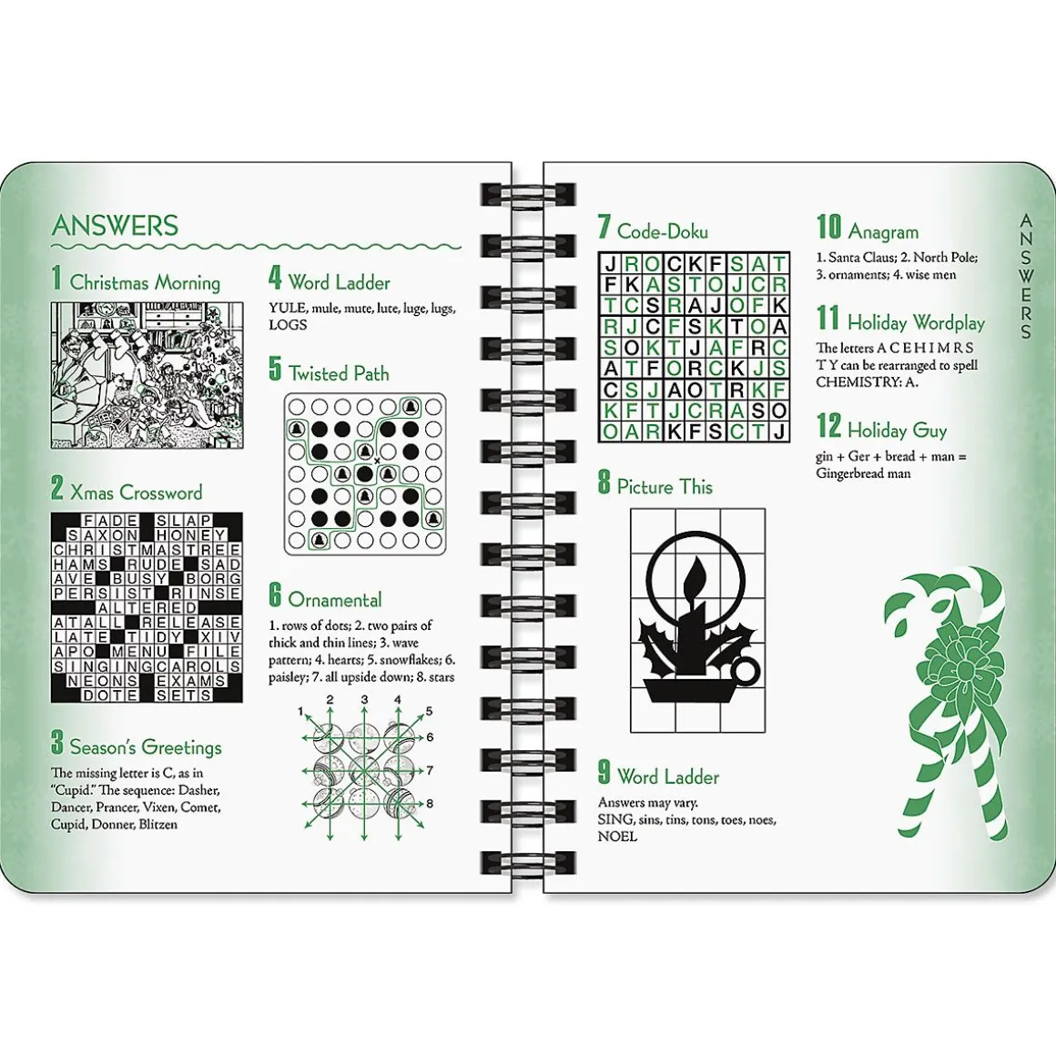 Christmas Mini Puzzles Brain Games®