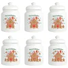 Gingerbread Personalized Cookie Jar