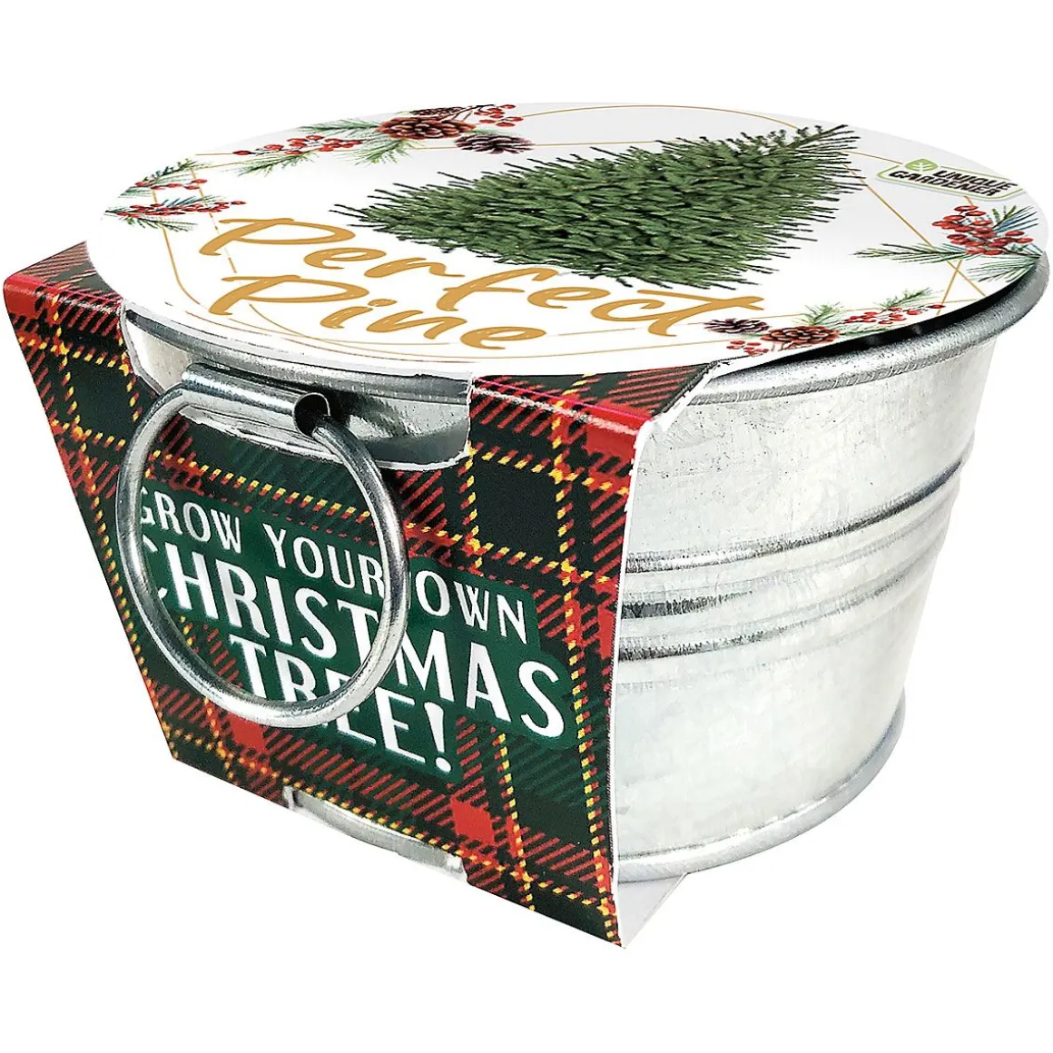 Grow Your Own Christmas Tree Kit