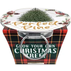 Grow Your Own Christmas Tree Kit