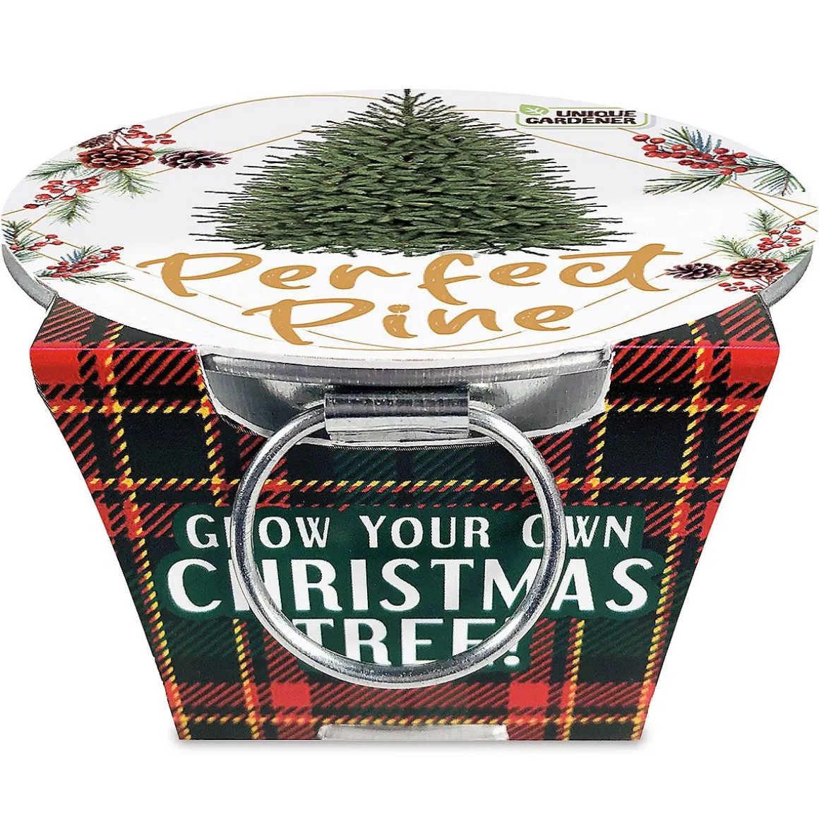 Grow Your Own Christmas Tree Kit