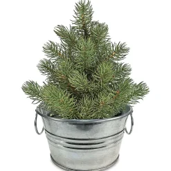 Grow Your Own Christmas Tree Kit