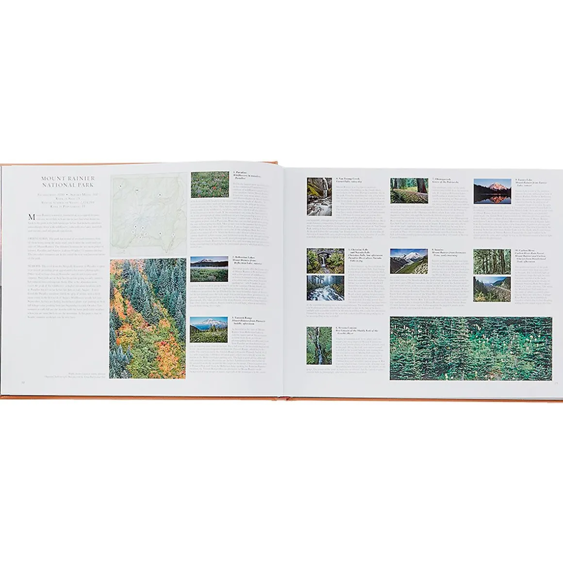 Treasured Lands Personalized Tan Leather-Bound Book