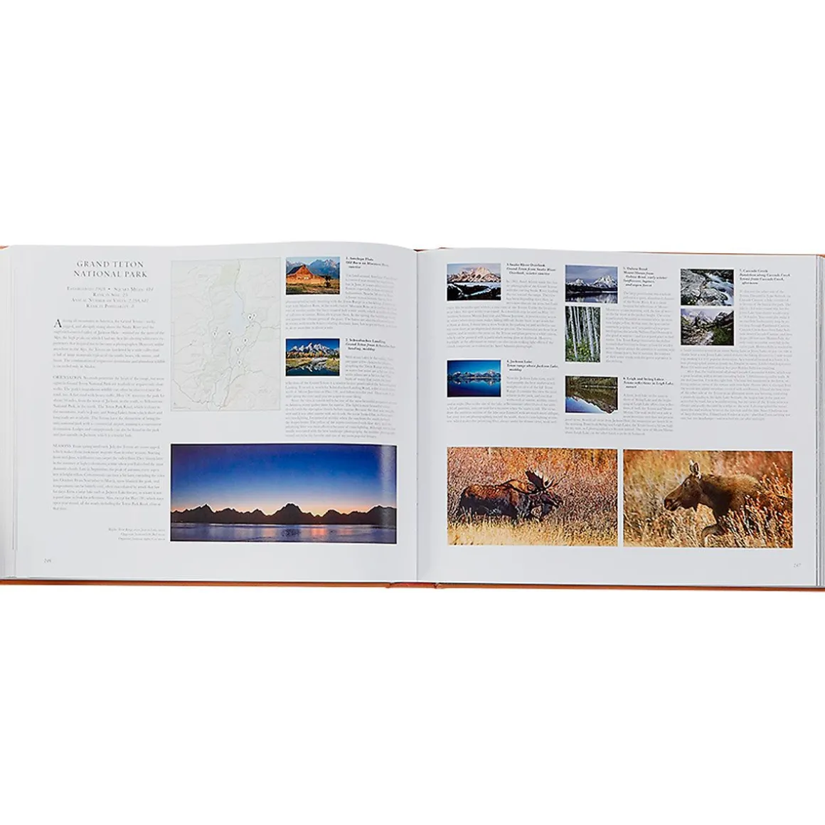 Treasured Lands Personalized Tan Leather-Bound Book