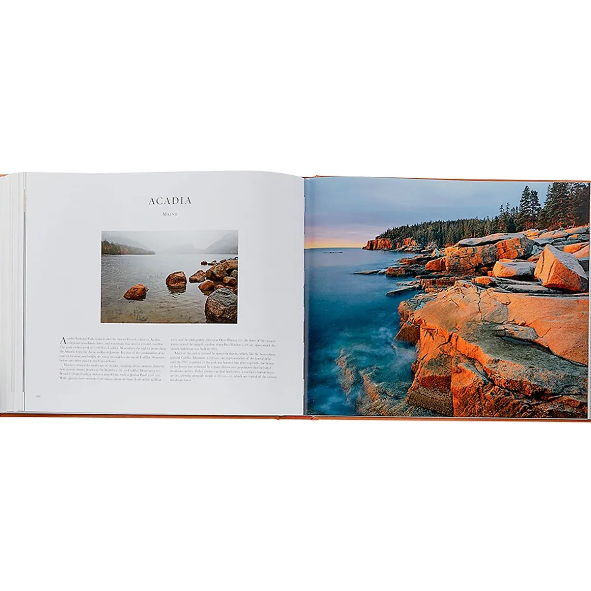Treasured Lands Personalized Tan Leather-Bound Book