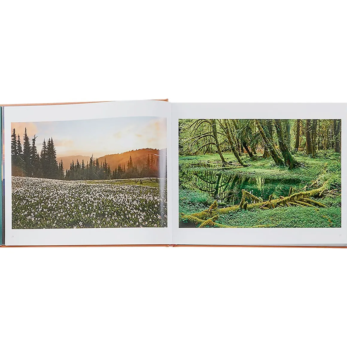 Treasured Lands Personalized Tan Leather-Bound Book