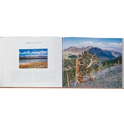 Treasured Lands Personalized Tan Leather-Bound Book