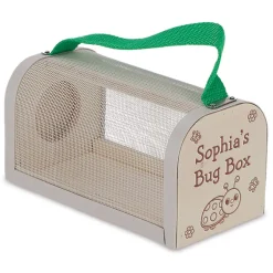Wooden Insect Personalized Study Box