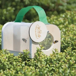 Wooden Insect Personalized Study Box