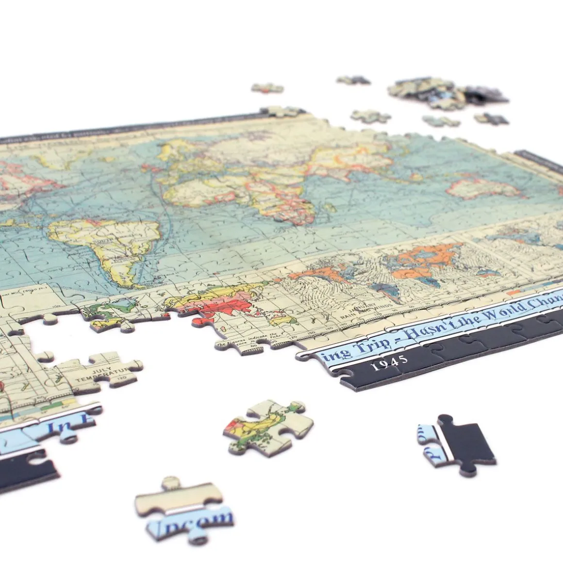 Your Year, Your World Map Puzzle Personalized